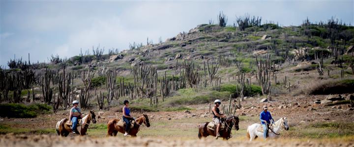 National Park & Beach Ride Horseback Riding